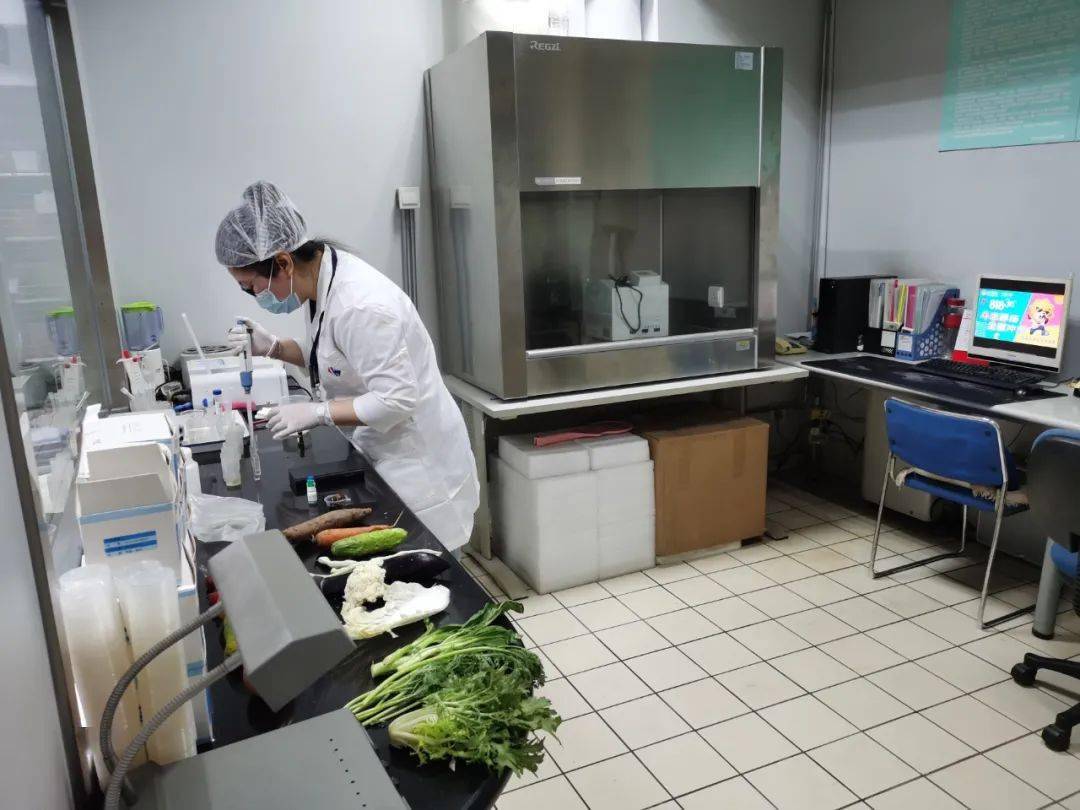 隆子食品检测实验室装修方案